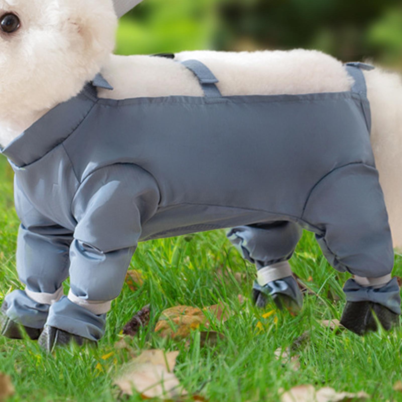 Bottes imperméables pour chien - Women'S Shoes Hush Puppies avis et prix