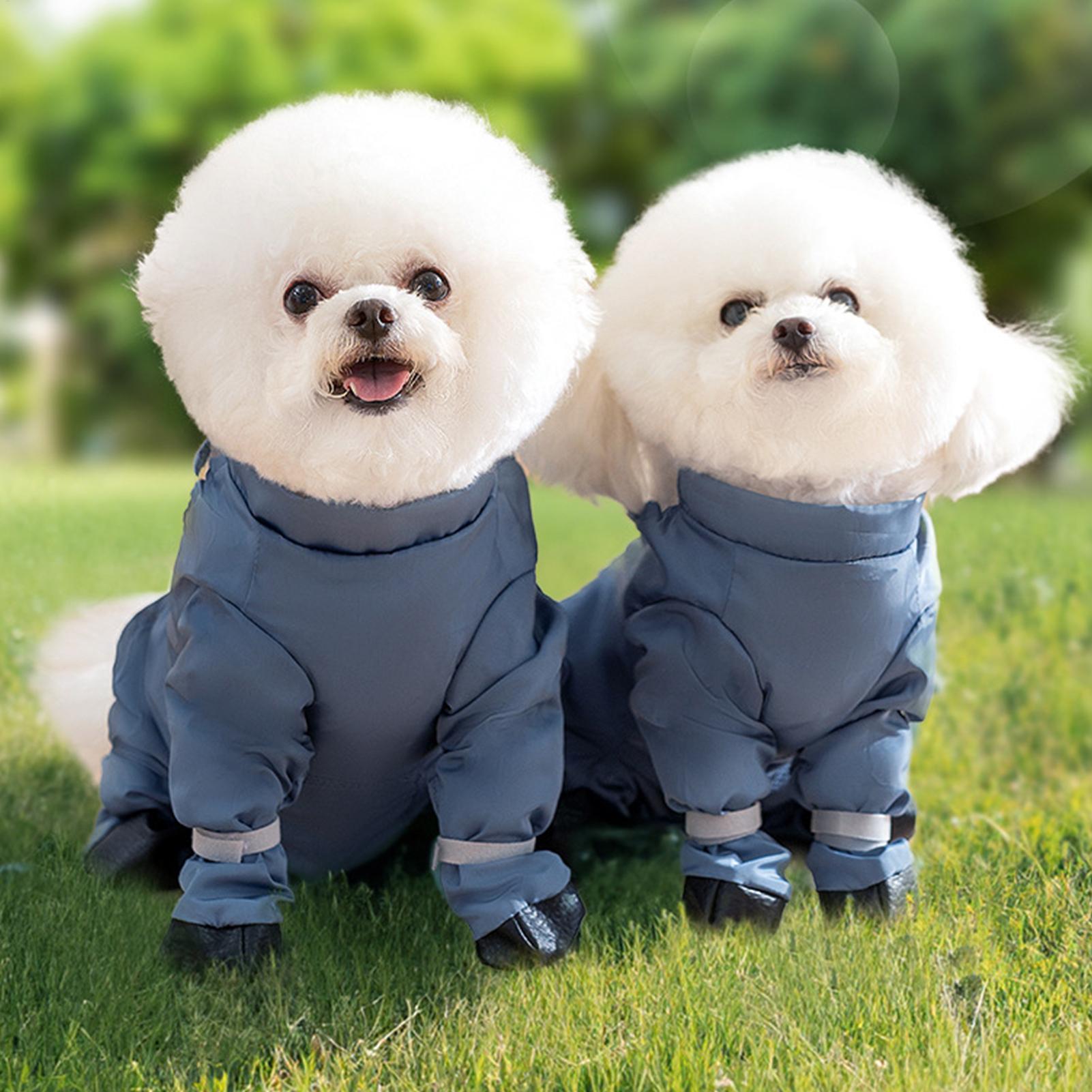 Bottes imperméables pour chien - Women'S Shoes Hush Puppies avis et prix